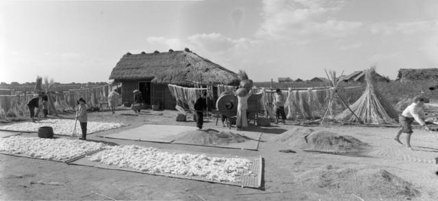 开荒 劳动 迁居