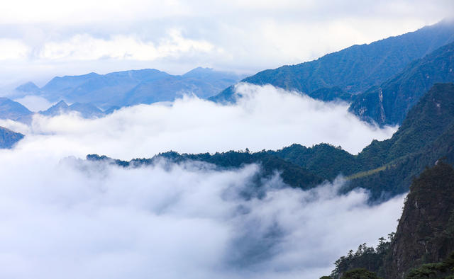 莽山 莽山国家森林公园 奇峰 古松 山水画