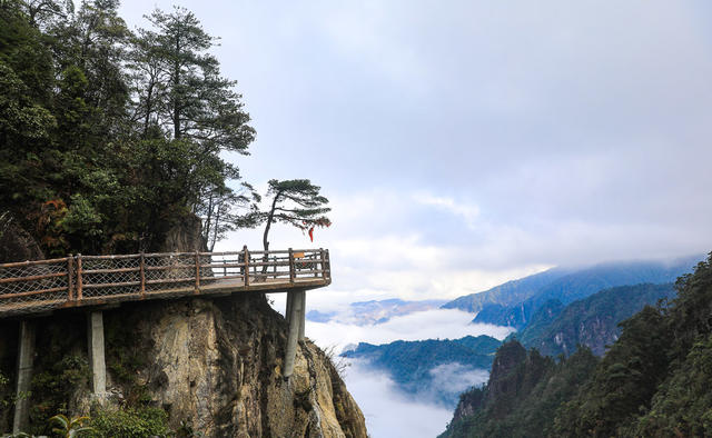 莽山 莽山国家森林公园 奇峰 古松 山水画