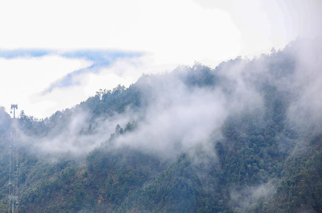 莽山 莽山国家森林公园 奇峰 古松 山水画