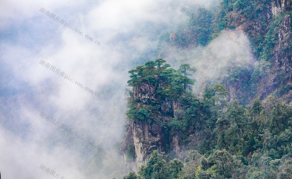 莽山 莽山国家森林公园 奇峰 古松 山水画