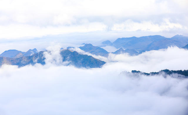 莽山 莽山国家森林公园 奇峰 古松 山水画