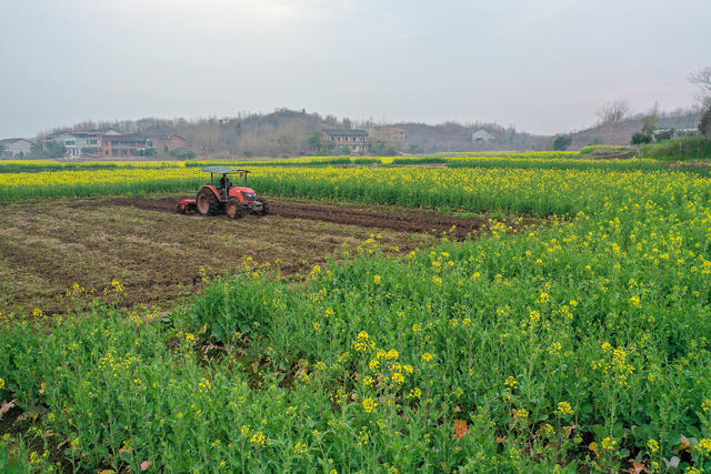 春耕 农业 农事