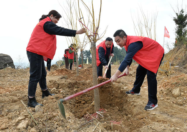 植树 志愿者 农村 林业 绿化 义务植树 植树造林  党员 团员