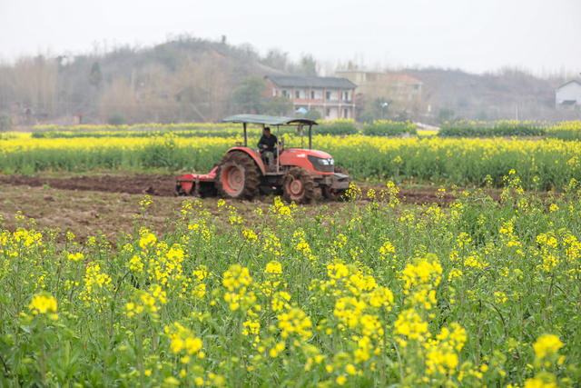 春耕 农业 农事