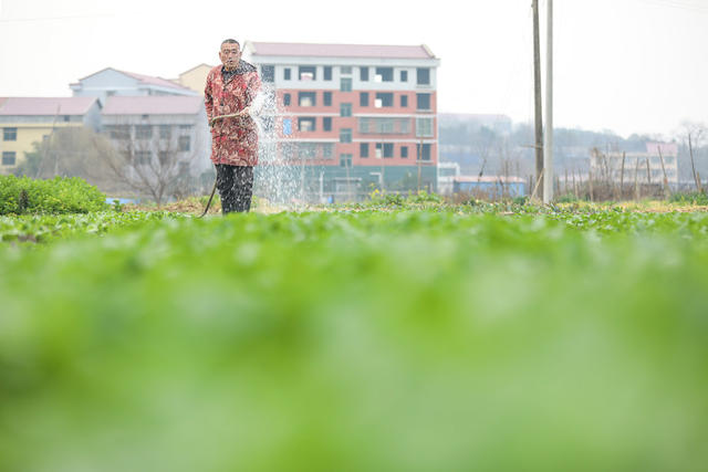 春耕 农业 农事