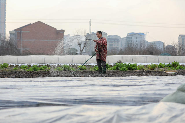 春耕 农业 农事