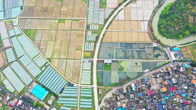 春耕  乡村  风景  生态