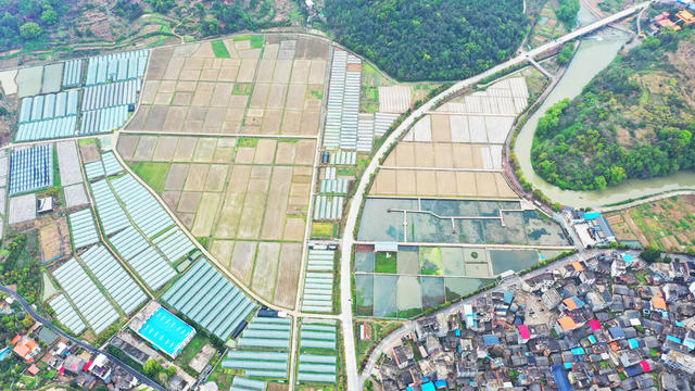 春耕  乡村  风景  生态