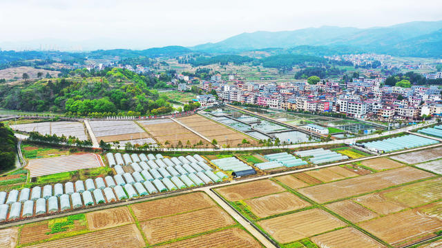春耕  乡村  风景  生态