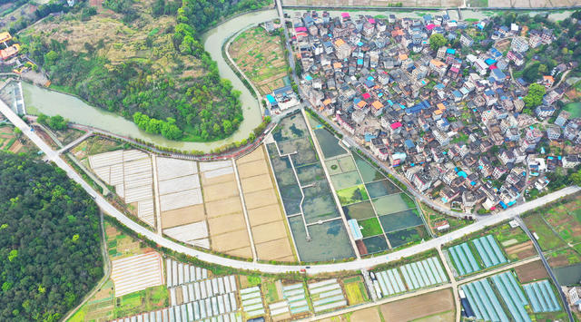 春耕  乡村  风景  生态