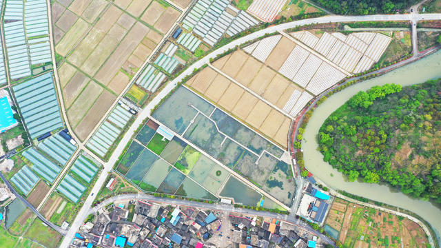春耕  乡村  风景  生态