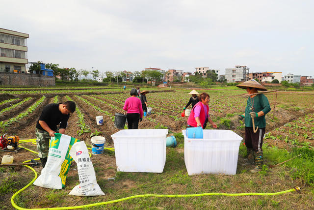农事  春管  春耕