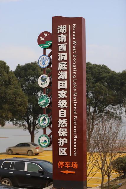 洞庭湖,湿地,防浪堤生态修复,候鸟,西洞庭湖国家城市湿地公园