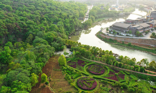 公园  健身  散步  乐园