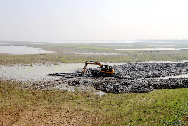 洞庭湖,湿地,防浪堤生态修复,候鸟,西洞庭湖国家城市湿地公园