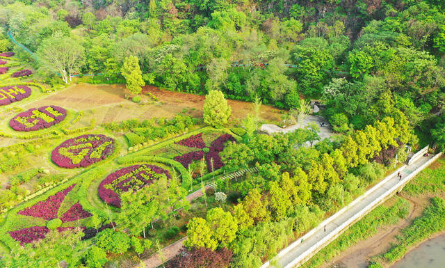 公园  健身  散步  乐园