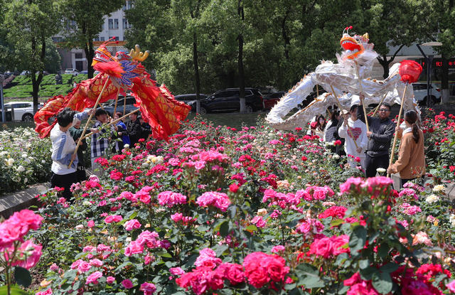 高校 舞龙 体育课