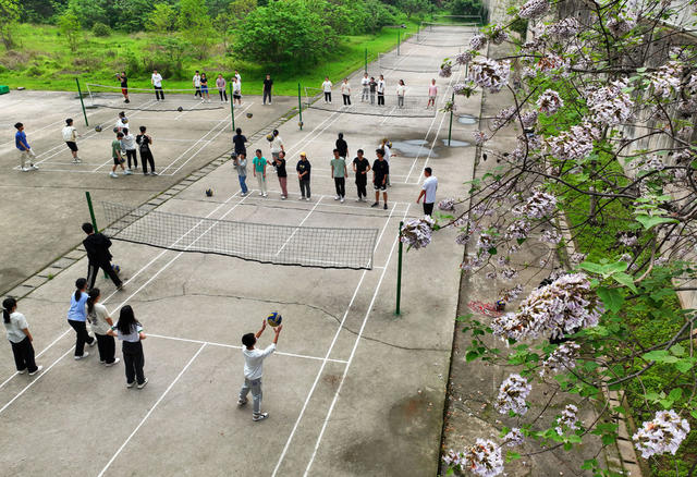 校园 春意 美丽