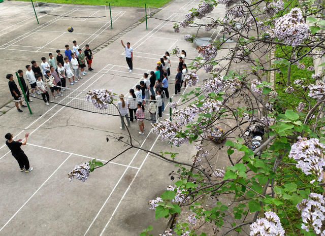 校园 春意 美丽