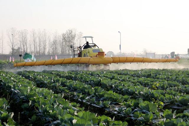 围堤湖垸,洞庭湖平原,围堤湖蔬菜基地