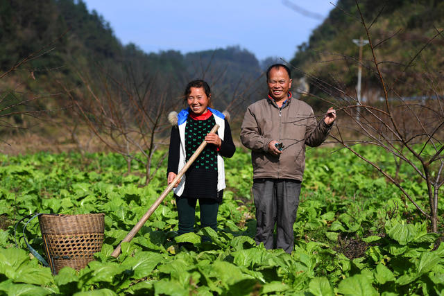 乡村振兴 苗绣 湘西黑猪 吊脚楼 旅游 民宿 十八洞村