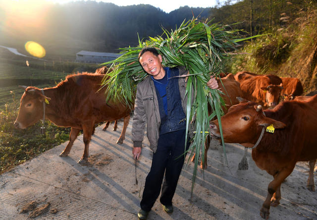 乡村振兴 苗绣 湘西黑猪 吊脚楼 旅游 民宿 十八洞村