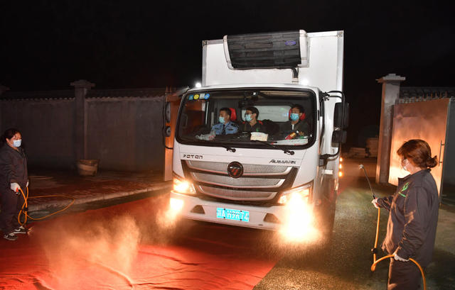 大熊猫 专车 熊猫馆 四川 凤凰 “护驾”
