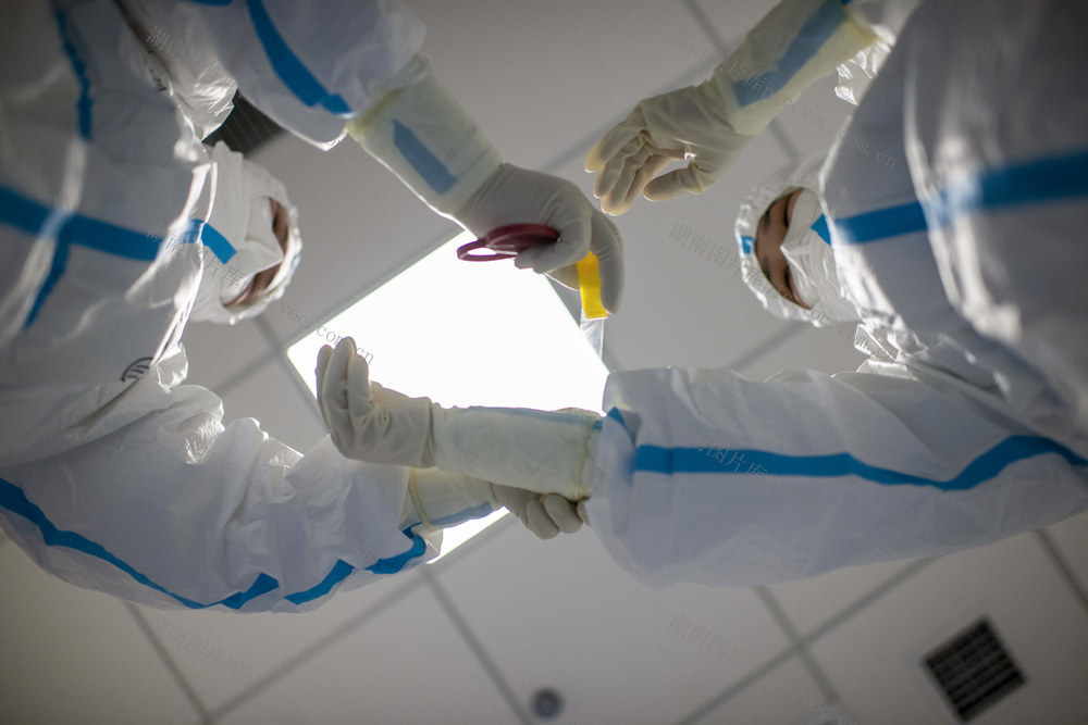 新冠肺炎 黄冈 湖南医疗队 陪伴 护士 病情 施弦 王曼 蒋小军 徐芙蓉