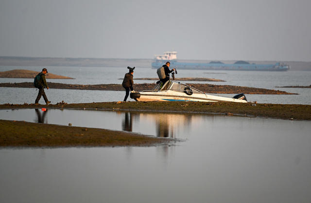 东洞庭湖 自然保护区 候鸟 生态 野生动物 湿地 