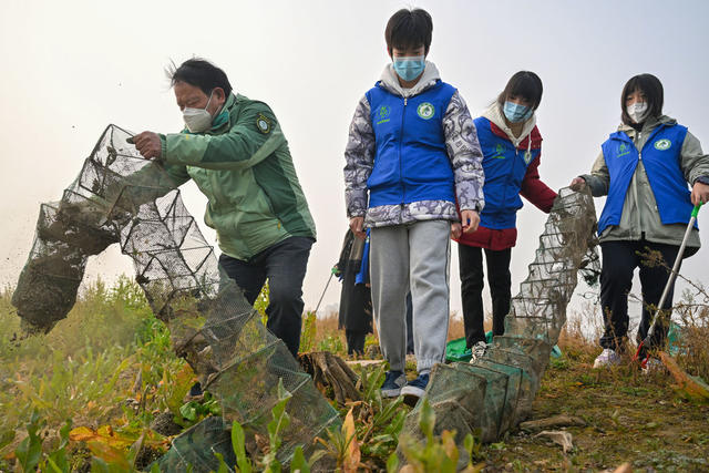 西洞庭湖 自然保护区 候鸟 湿地 监测 生态