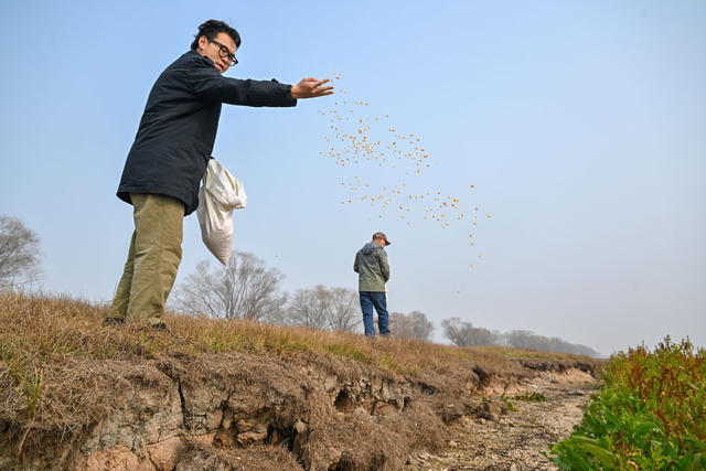 东洞庭湖 自然保护区 候鸟 生态 野生动物 湿地 
