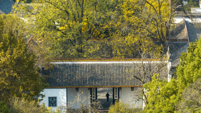 爱晚亭 岳麓书院 岳麓山 枫叶 赏枫 银杏 观景  拍照胜地 