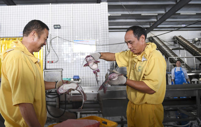 山乡巨变 清溪书屋 高新区 食品公司 小卖部 旅游 消费市场