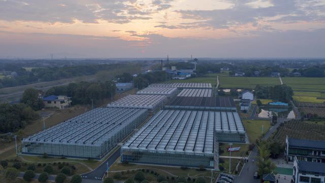 山乡巨变 清溪村 稻田 丰收 胡林翼 生态农业 木文化馆 现代化 名臣故居