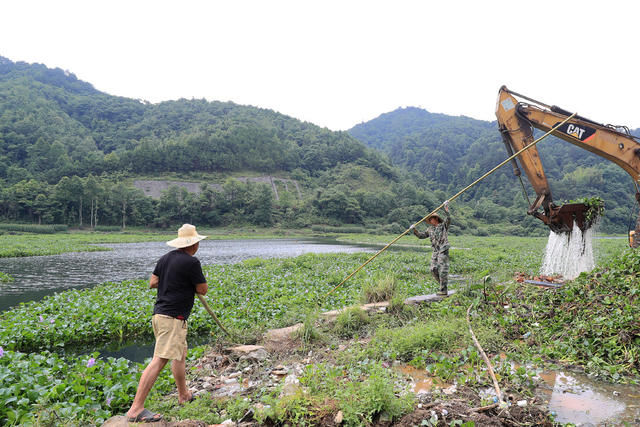 河道 打捞 水葫芦 处置 蔓延 保护 水环境
