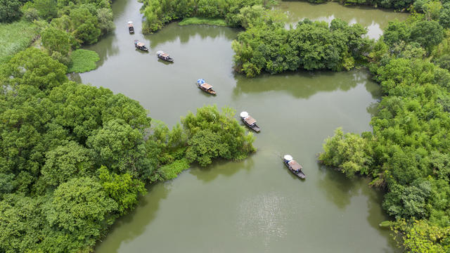 杭州 西溪湿地公园 天堂绿肺 生态 旅游胜地 摇橹船 城中次生湿地