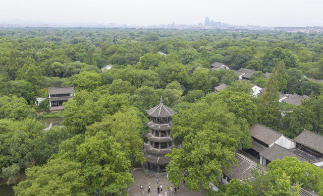 杭州 西溪湿地公园 天堂绿肺 生态 旅游胜地 摇橹船 城中次生湿地