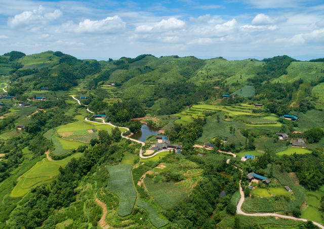 乡村振兴 半界村 油茶 葡萄园 生态 贫困户 梯田 玉米 
