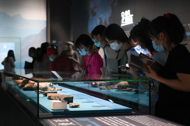 湖南省博物馆 参观 传统文化 防疫 实名制预约 假期生活 