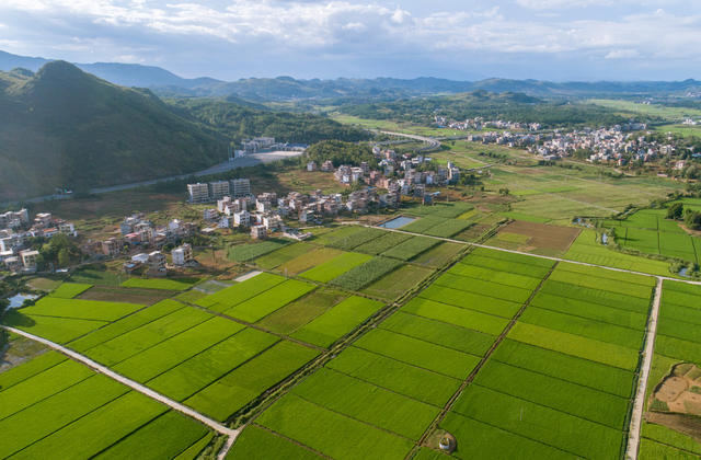乡村振兴 晓夏街村 玉米 扶贫 农田