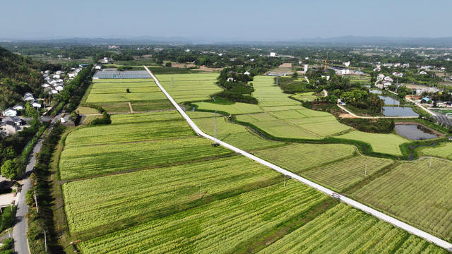 常德市 桃花源 汤家山村