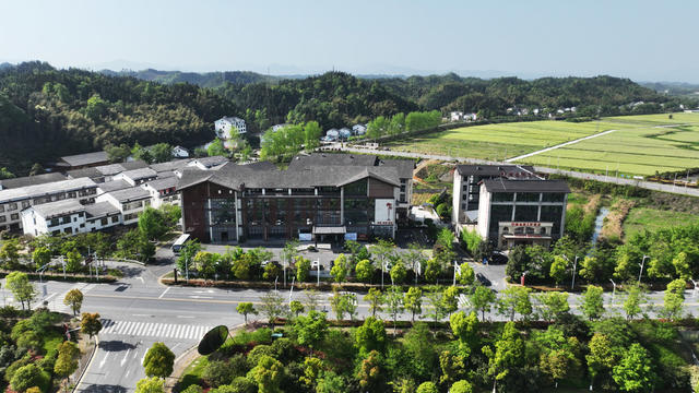 桃花源古镇  建筑