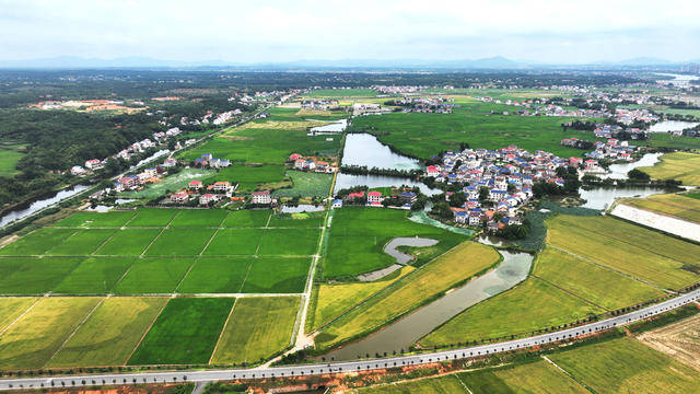 汨罗市  屈子祠镇  田园