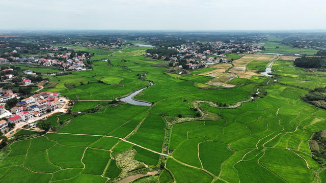 汨罗市  桃林寺镇  亦仁村  田园