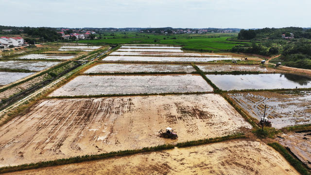 汨罗市  桃林寺镇  亦仁村  田园