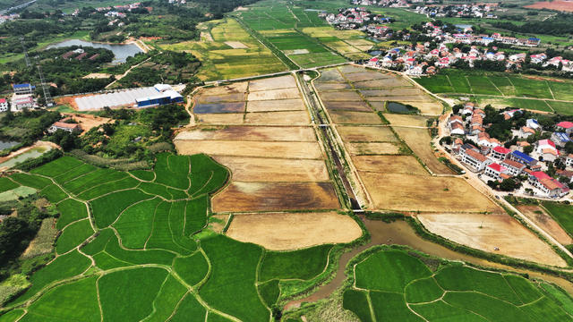 汨罗市  桃林寺镇  亦仁村  田园