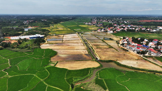 汨罗市  桃林寺镇  亦仁村  田园