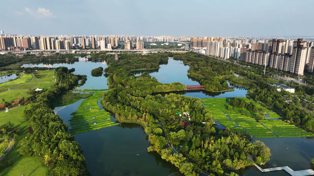 长沙  洋湖  湿地公园