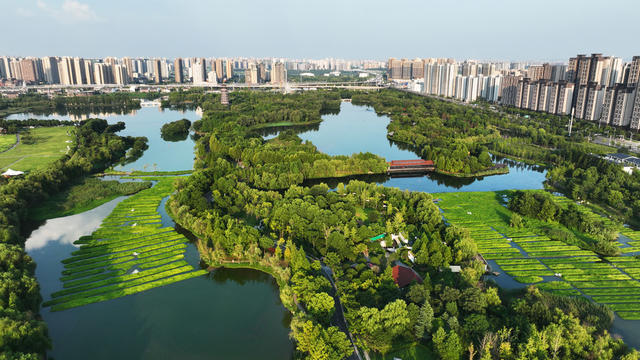 长沙  洋湖  湿地公园